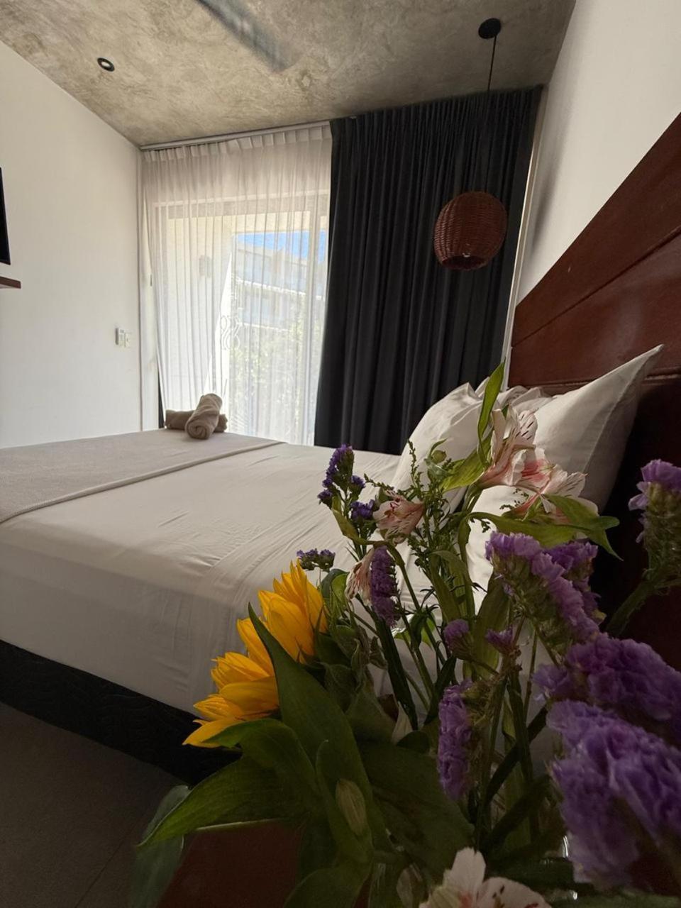 Hotel Zendero 툴룸 외부 사진